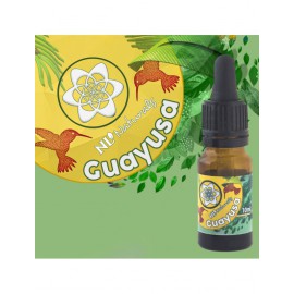 Guayusa Extract - 5ml & 10ml