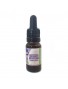 Ashwagandha Extract - 10ml