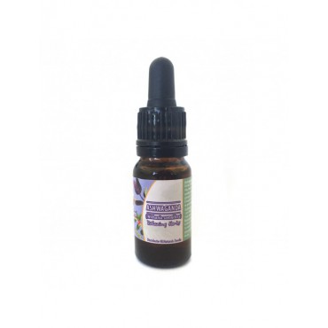 Ashwagandha Extract - 10ml