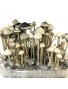 Psilocybe Copelandia Hawaiian Mushroom Grow kit