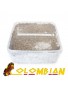 Psilocybe Cubensis Colombian - Paddo Grow Kit